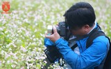 Ngất ngây với cánh đồng hoa tam giác mạch ở Hà Giang